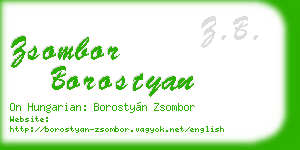 zsombor borostyan business card